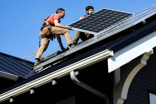 Best Roof Moss and Algae Removal  in Fort Worth, TX